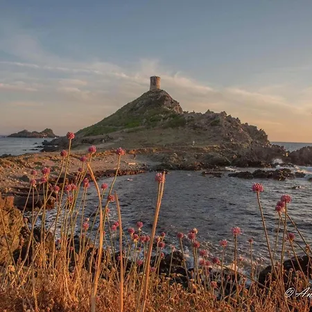 Lejlighed Cosystudio Centre *