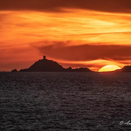 Cosystudio Centre Lejlighed