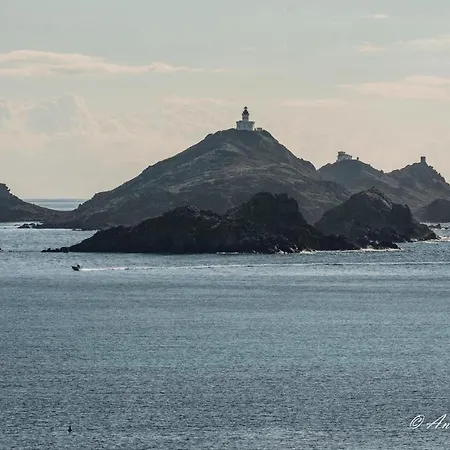 Lejlighed Cosystudio Centre *