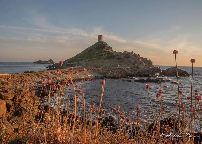 Lejlighed Cosystudio Centre *