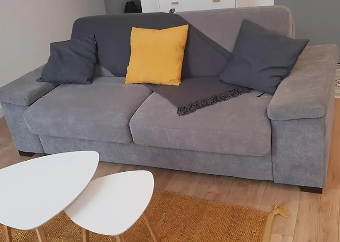 Cosystudio Centre 阿雅克肖