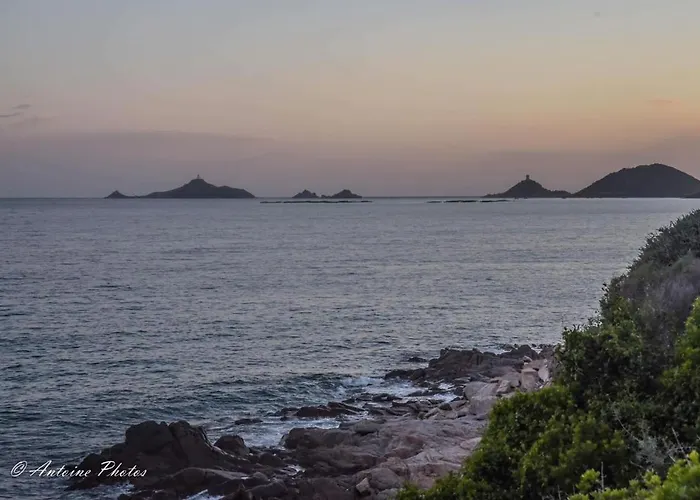 Cosystudio Centre 阿雅克肖