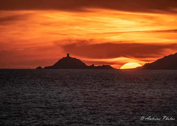 Cosystudio Centre Apartment