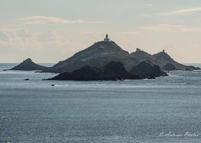 Apartment Cosystudio Centre *