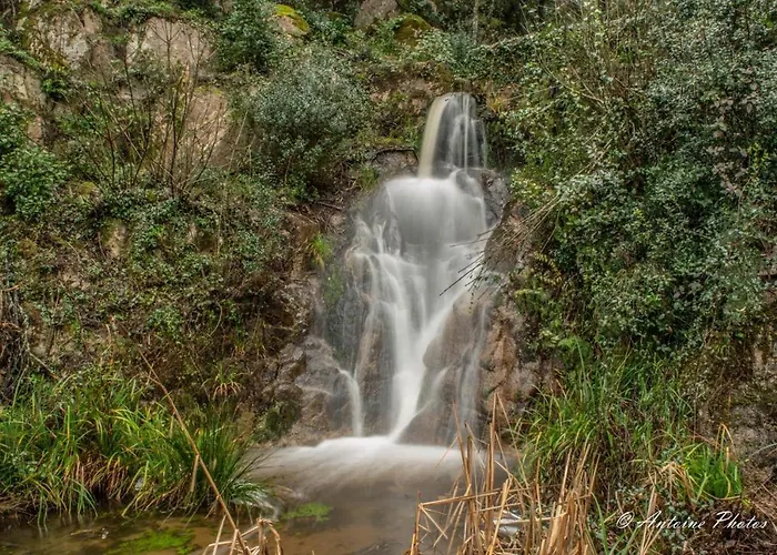 Cosystudio Centre * 阿雅克肖